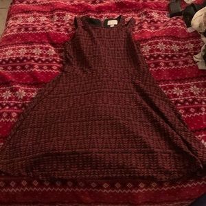 Xl 14 in kids